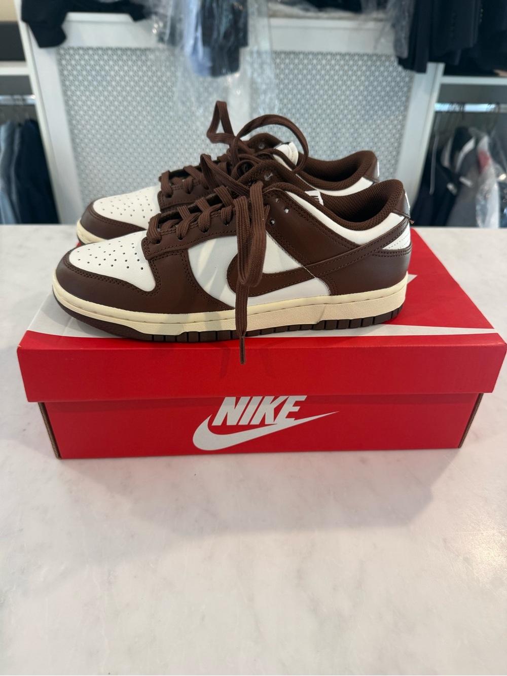 Women’s Nike Dunk Low Brown and White Sneakers